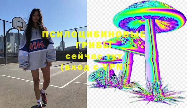 прущая мука Армянск