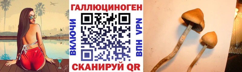 Псилоцибиновые грибы прущие грибы  купить наркоту  ссылка на мегу маркетплейс  Фролово 